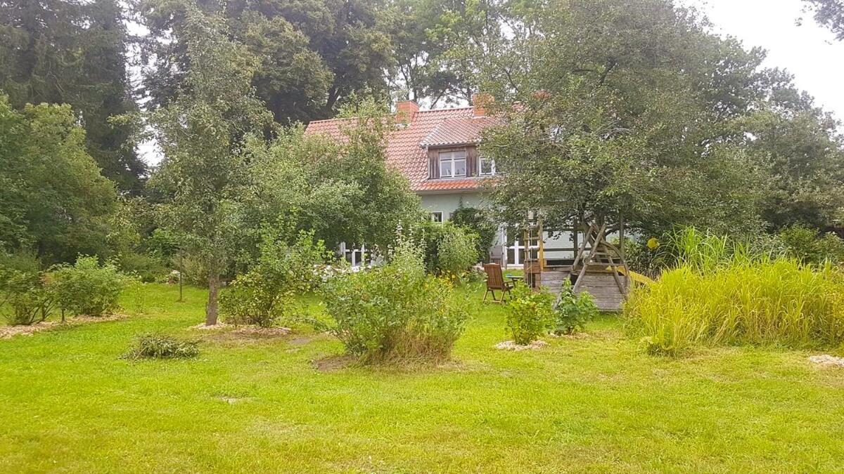 Ferienhaus Salvia Gremersdorf-Buchholz المظهر الخارجي الصورة