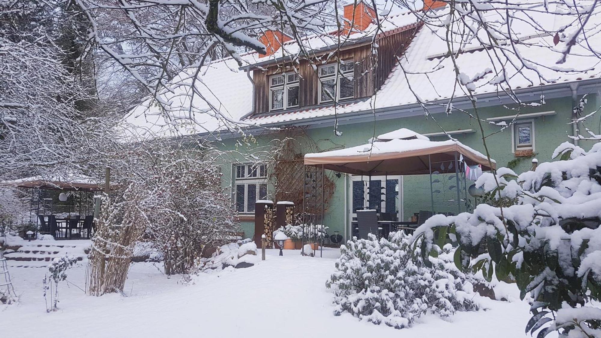 Ferienhaus Salvia Gremersdorf-Buchholz المظهر الخارجي الصورة