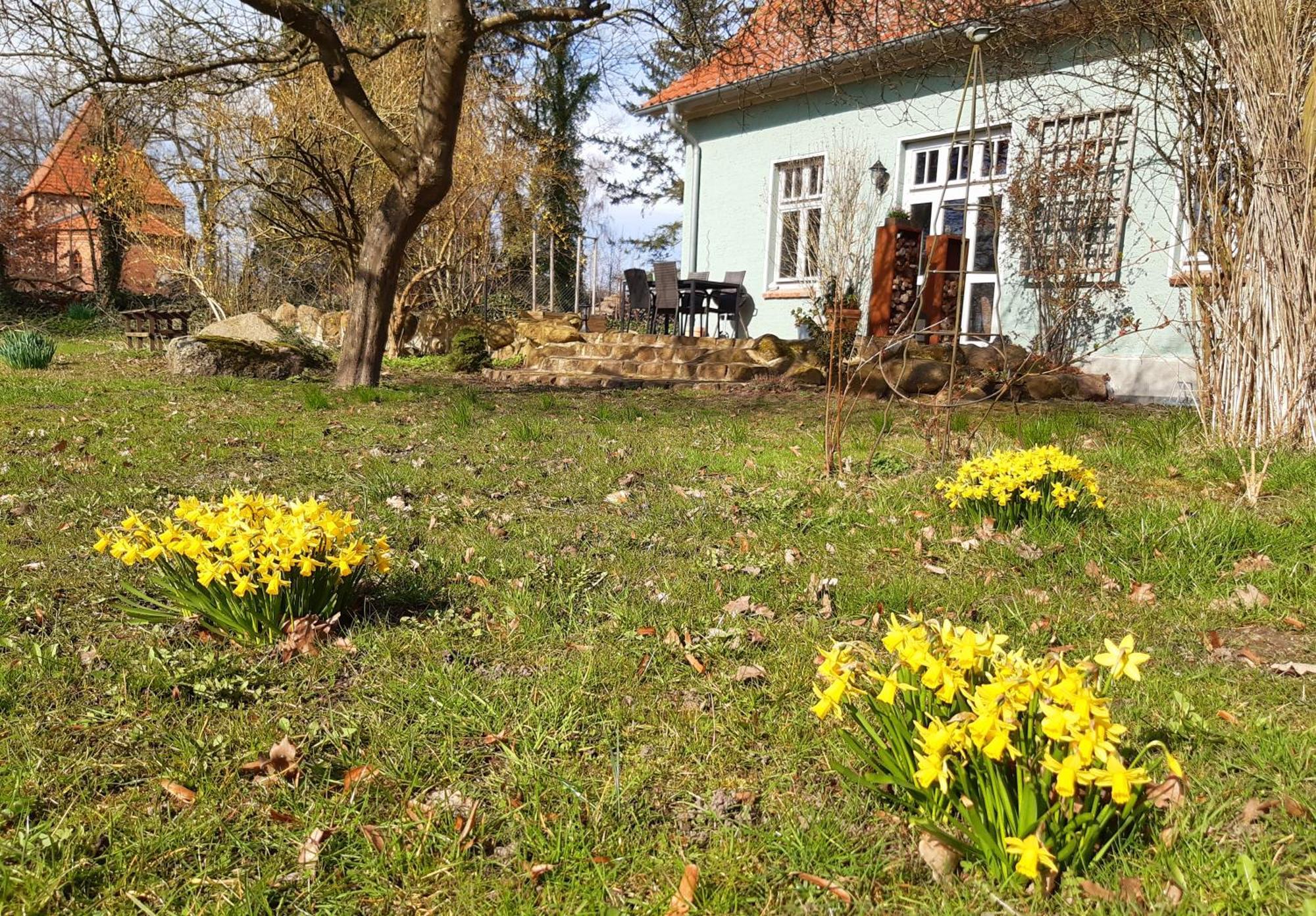 Ferienhaus Salvia Gremersdorf-Buchholz المظهر الخارجي الصورة
