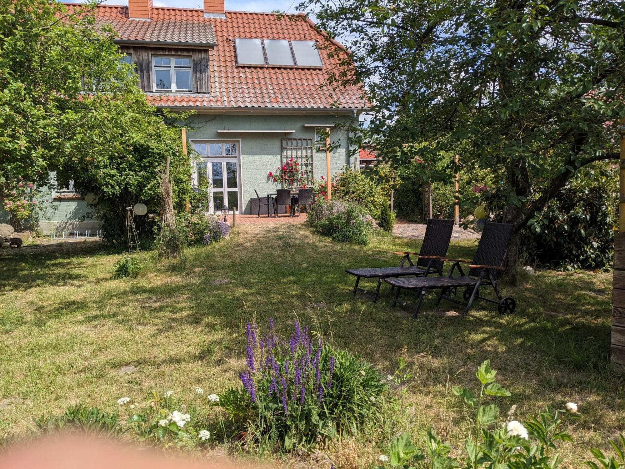 Ferienhaus Salvia Gremersdorf-Buchholz المظهر الخارجي الصورة
